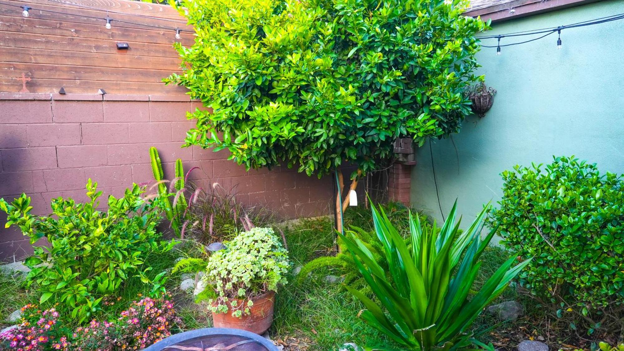 Cozy Private Guest House Los Angeles Ngoại thất bức ảnh