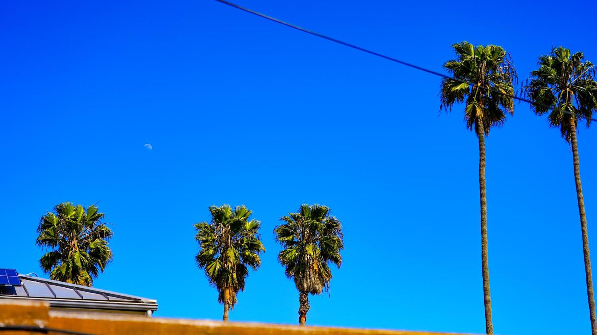 Cozy Private Guest House Los Angeles Ngoại thất bức ảnh